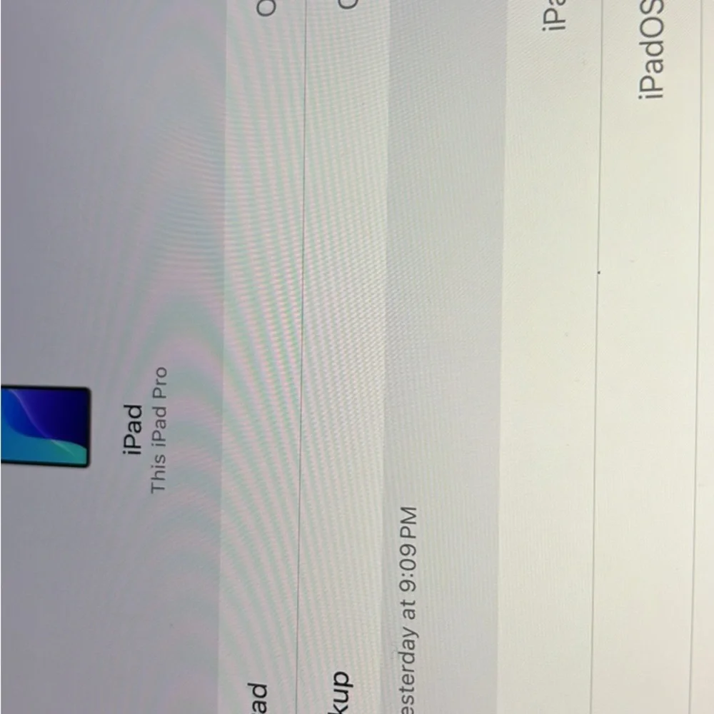 Apple iPad